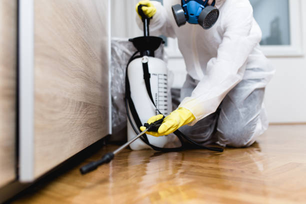 Best Wasp Removal Services  in Hayfield, MN