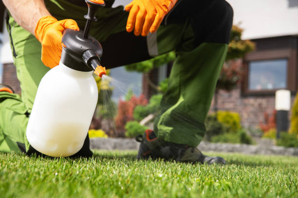 Best Emergency Pest Control  in Hayfield, MN
