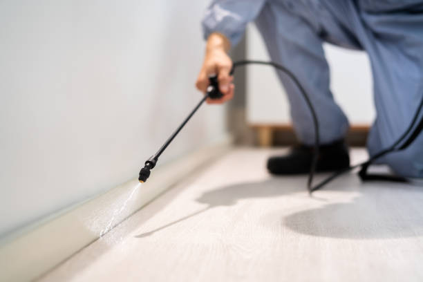 Best Wasp Removal Services  in Hayfield, MN