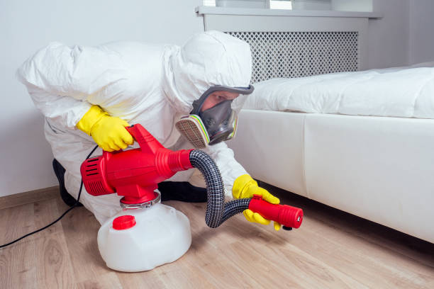Best Affordable Pest Control Services  in Hayfield, MN