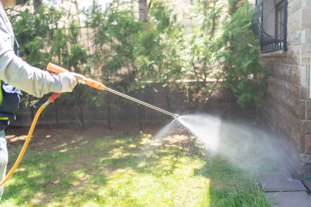 Best Pest Prevention Services  in Hayfield, MN
