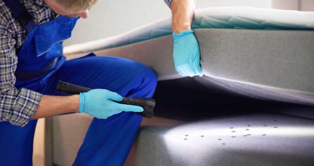 Best Local Pest Control Services  in Hayfield, MN