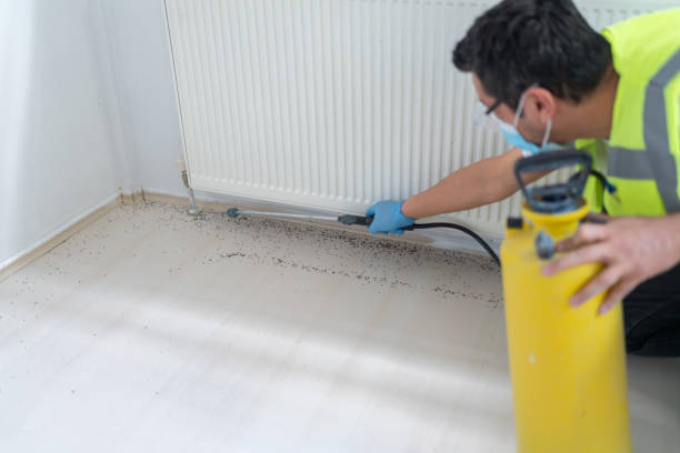 Best Pest Control for Businesses  in Hayfield, MN