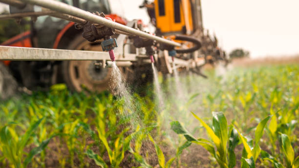 Best Exterminator Services  in Hayfield, MN